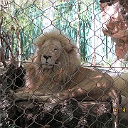 Picture 127